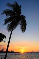 Se acerca la noche del paraíso de las palmeras foto
