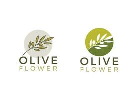 planta de aceite de oliva a base de hierbas naturales, diseño de logotipo de flor de hoja de olivo vector