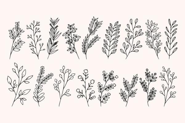 Branch Line Art
