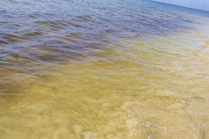 Blue turquoise water waves ocean and sea texture pattern Mexico. photo