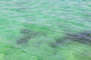 azul turquesa agua olas océano y mar patrón de textura méxico. foto