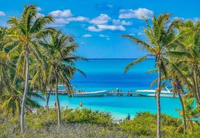 Beautiful tropical natural palm tree boat jetty Contoy island Mexico. photo