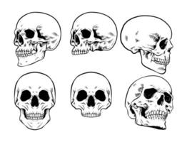 conjunto de imagen vectorial de cráneo vector