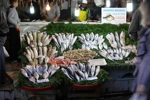 pescador en estambul foto