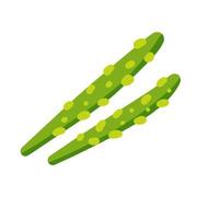 Asparagus. A healthy food ingredient. Green plant. Vegetarianism and raw element for salad. Flat cartoon vector