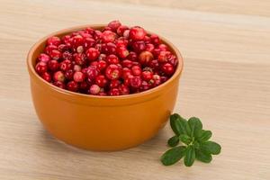 Cowberry in a bowl on wooden background photo