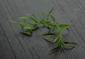 Tarragon leaves on wooden background photo