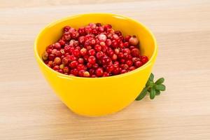 Cowberry in a bowl on wooden background photo