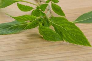 Bergamot leaves on wooden background photo