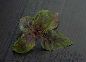 Basil leaves on wooden background photo