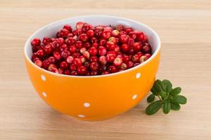 Cowberry in a bowl on wooden background photo