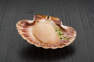Raw scallops on wooden background photo