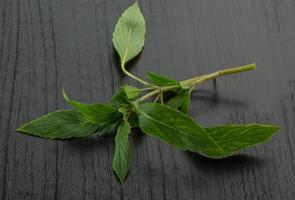 Bergamot leaves on wooden background photo