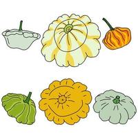 Squash set, useful multi-colored vegetables of a round shape vector