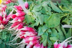 Colroful radish in a market. Rennes, France photo