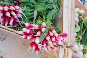 Bunch of radish in a market. Rennes, France photo