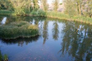 árboles reflejados en el agua del río arlanza en lerma, españa foto