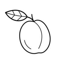 Plum. Hand drawn sketch icon of tropic fruit. Isolated vector illustration in doodle line style.