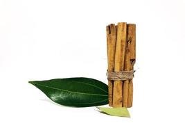 Fragrant cinnamon sticks on a white background photo