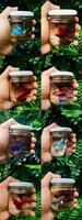Real betta fish mini glass bottles in hand with natural background photo