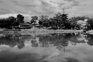 Pagoda and trees reflected in pond photo