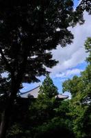 Buddhist temple roof and sky behind trees in shadow photo