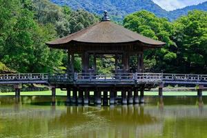 Wooden gazebo over pond in park from front