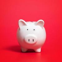 Composition with piggy bank isolated on red background. photo