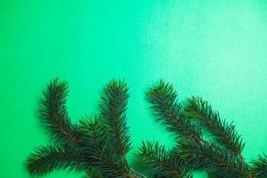 Christmas tree branches photo