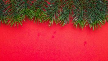 Christmas tree branches. The concept of the new year, christmas, nature. Banner. Flat lay, top view on white background photo