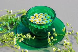 Daisy in a green cup with a saucer surrounded by flowers under bright sunlight. Summer, warm. Beautiful picture photo