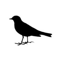 Illustration Silhouette Vector of a Bird Isolated White