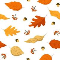 hojas de otoño de patrones sin fisuras. ilustración vectorial con hojas caídas, bellotas y serbal. perfecto para envolver papel, embalaje, textil, etc. vector