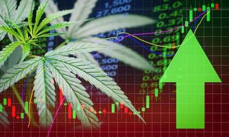negocio hojas de marihuana éxito de acciones de cannabis precio de mercado flecha verde hacia arriba crecimiento de ganancias foto