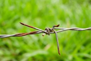 Old barbed wire fence with rust on green nature background photo