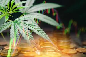 Business marijuana leaves cannabis stock exchange market photo