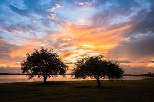 puesta de sol árboles paisaje la pareja de dos árboles en el río colorido cielo nube foto