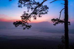 hermoso amanecer cielo púrpura y azul en la vista superior colina montaña acantilado y rama silueta pino foto