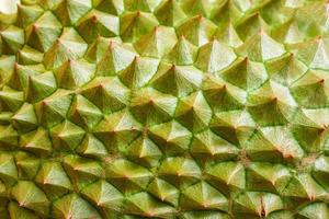 Durian skin Close up of  tropical fruit durian texture background photo