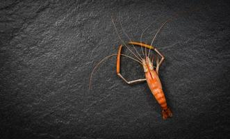 Cooked beautiful shrimp prawn boiled seafood on dark background photo