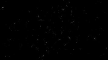 Abstract blurred dust particles floating on black background. video