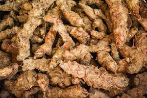 Fresh turmeric root background from nature garden for herbal medicines photo