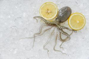 Fresh octopus and lemon on ice background Raw squid in the seafood market photo