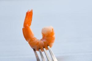 Shrimp on fork Cooked seafood shrimps prawns ocean gourmet dinner in fork on dinner photo