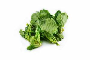 Fresh green leaves cabbage isolated on white background Organic vegetable photo