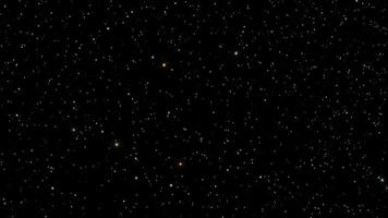 un campo de estrellas brilla en un cielo nocturno - bucle video