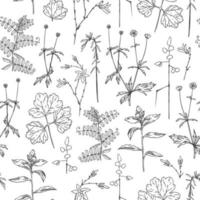 Field grass seamless pattern in hand drawn style. Wild nature herbal pattern. Vector leaf seamless pattern. Fabric design. Seamless pattern fashion style.