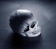 análisis de un cráneo humano foto