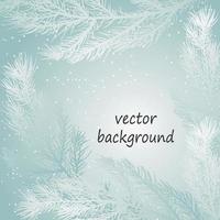 Winter background with snow and coniferous branches. Template for text. vector