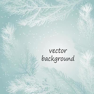 Winter background with snow and coniferous branches. Template for text.